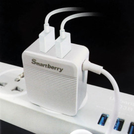 Smartberry 3.1A Fast Charger For IOS, C301i