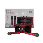 SmartBerry M25 Karaoke Speaker