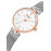 Curren Women's Waterproof Stainless Steel Mesh Band Quartz Watch 9038