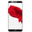 TP-LINK Neffos C9 Dual Sim Fingerprint Smartphone(Android OS,5.99 Inch, 4G+WiFi,16GB+2GB)