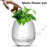 Smart Touch Plant Night Light Bluetooth Speaker Wireless Music Flower Pots