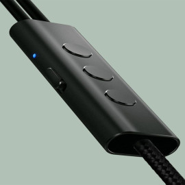 Xiaomi Mi ANC & Type-C Noise Cancelling In-Ear Earphones